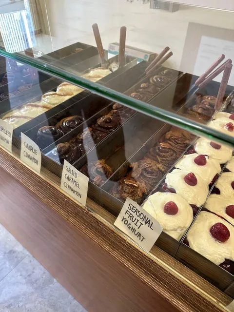 Hey! Auckland! 🇳🇿🤩 (Super Honest Version)  