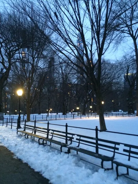NYC Farewell Diary Ep.03: Central Park in the Snow ❄️🌨️