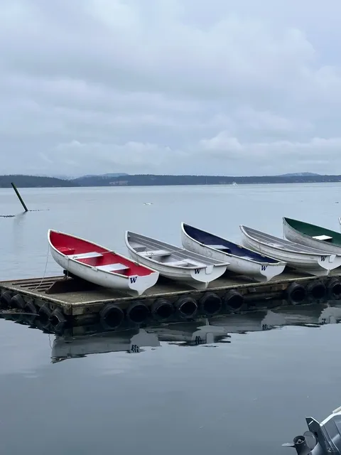 🏝️ San Juan Island | A Serene Escape Near Seattle