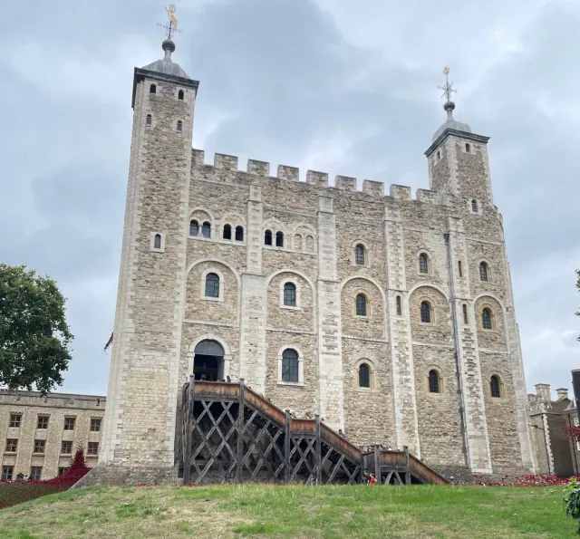 🌟 An Unforgettable Journey