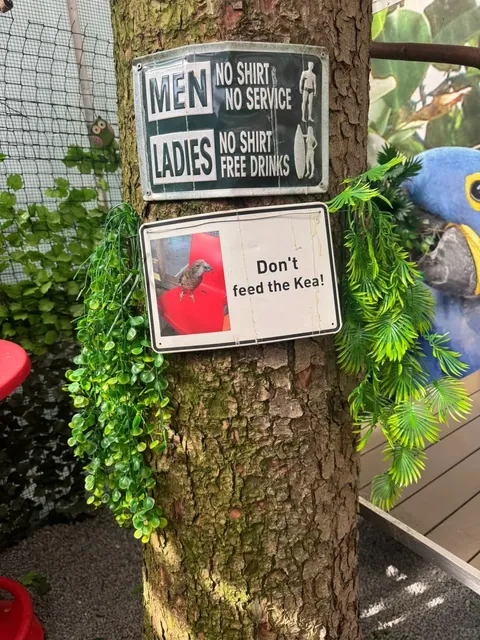 Bochum’s Ultimate Parrot Paradise – A Must-Visit for Bird Lovers! 🦜 