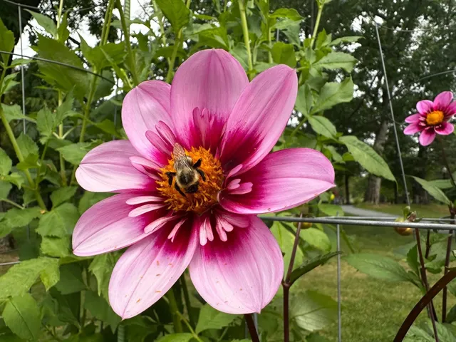 photo-3