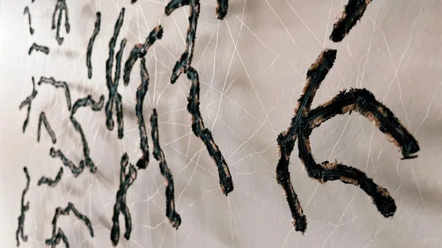 Vlaardingen Museum, Netherlands 🏛️