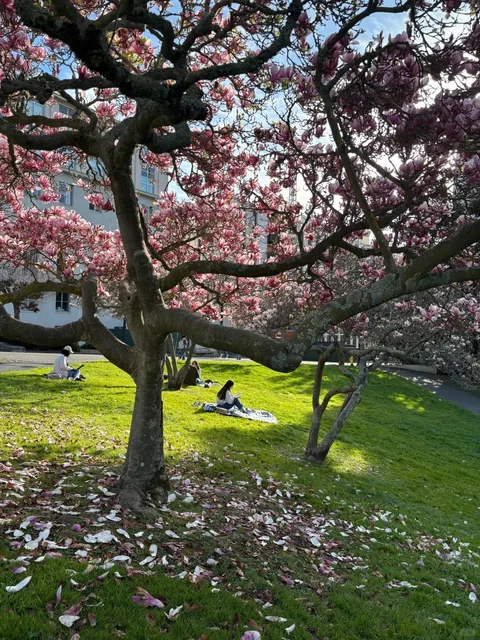 Berkeley Is So Worth It! Let’s Talk Weather & Food! 🌦️🍜