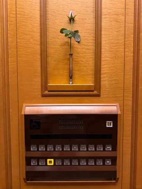 Tokyo Imperial Hotel 🏰