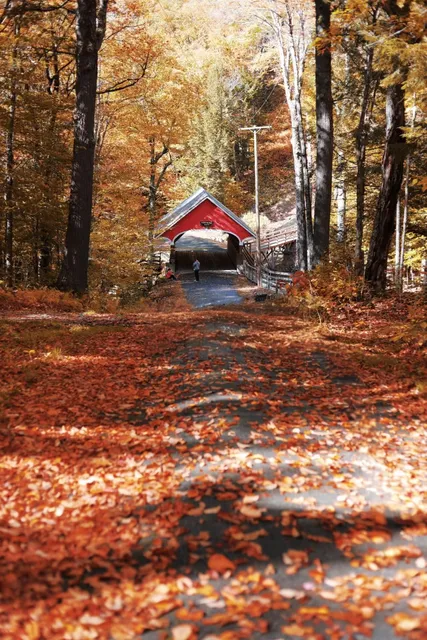🍁 NH White Mountain Maple Viewing | Slow-paced Hidden Gem + Less Crow