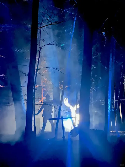 Harry Potter Forbidden Forest | DMV Weekend Activity