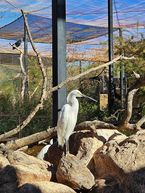 🌴💧AZ | Phoenix Zoo: A Desert Oasis of Wildlife Wonders 