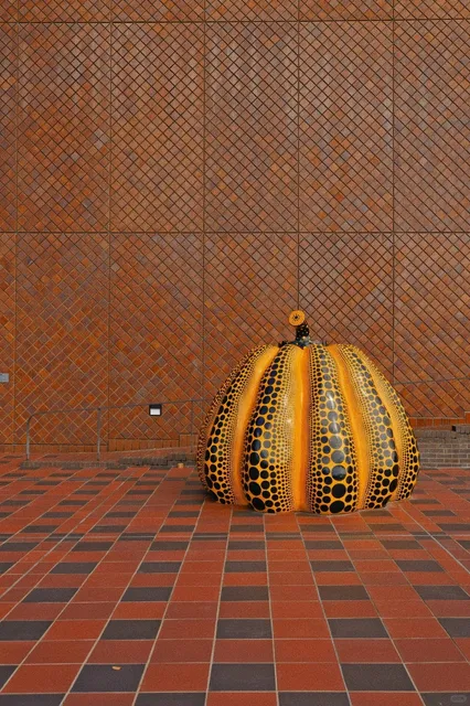 Fukuoka | Clear Skies☀️ Perfect for Daydreaming 🌿