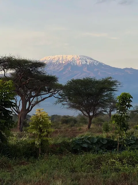 Solo Adventure in Africa | 🇰🇪 Your Ultimate Kenya Safari Guide