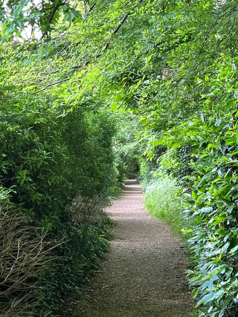 Oxford Travel Guide: This One Has It All! 🎓✨