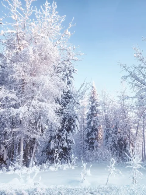 If the mountain won’t come to me, I’ll go to the mountain 🏔️ 