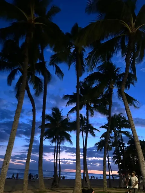 🌺 Plog: 3 Days in Honolulu, Hawaii 🏝️