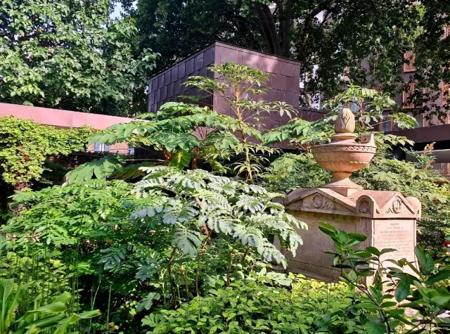 An Airy Restaurant with a Fascinating Menu – A Hidden Gem in Lambeth! 