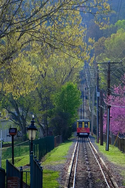 🌟 Atlanta Travel 🇺🇸 | Chattanooga & Rock City Gardens