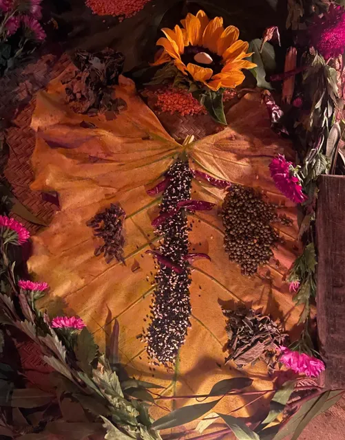 A Sacred Mushroom Ceremony in Mazunte 🌿🌊