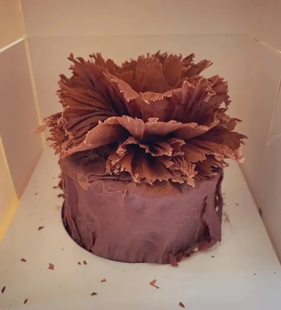 Traveling to Lyon, France 🇫🇷 An ultra-detailed nanny-level guide