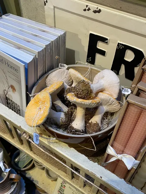 This Spot in Downtown Chicago Has Such Amazing Vibes! 😱