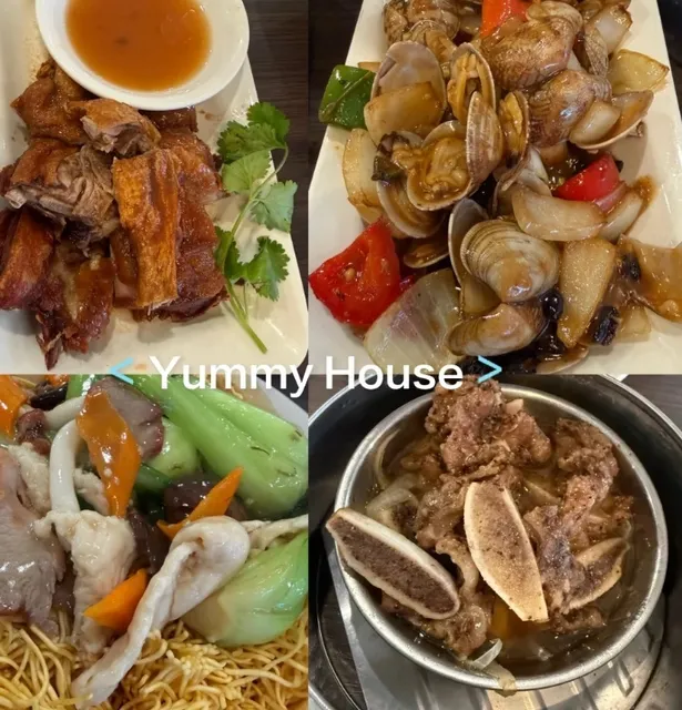 Tampa Restaurant: Yummy House!