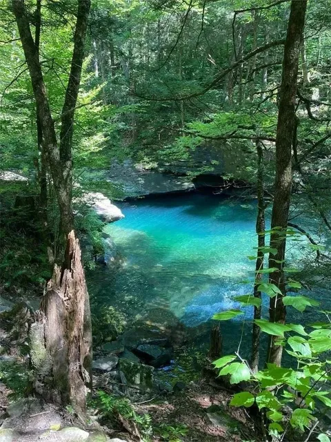 New York’s Hidden Gem for Beating the Heat 🍃  