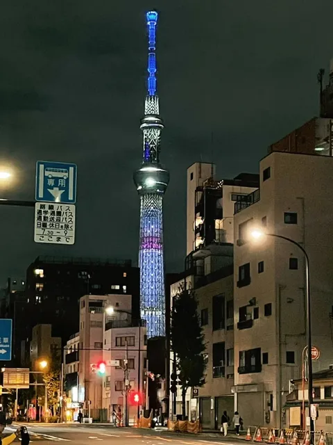 Ushijima Shrine · Tokyo's Heavenly Night View (2)🌟