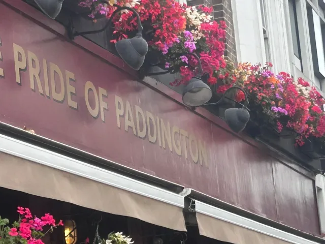 🍸 A Truly Classy Bar – Where Elegance Meets Ease! 🍸