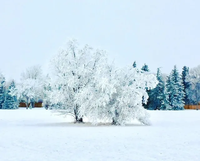 🇨🇦 What's the Quality of Life Really Like in Regina, Canada?