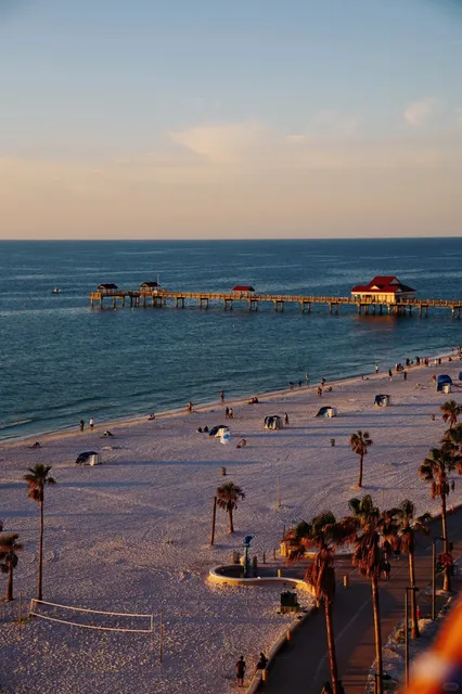 Tampa, Florida: The Hidden Gem of Beaches 🌊✨