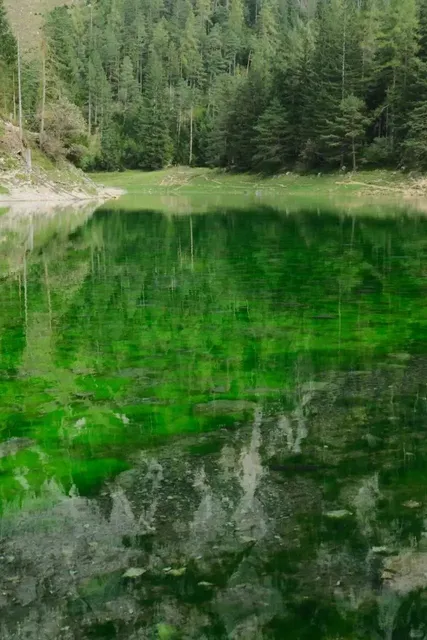 ​​🌊 Grüner See: Austria's Turquoise Wonderland (Now Even More Epic!)​