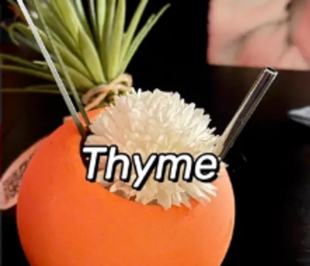 New York's Hidden Gem Bars (1) The Gentle World of Tipsiness 🌟