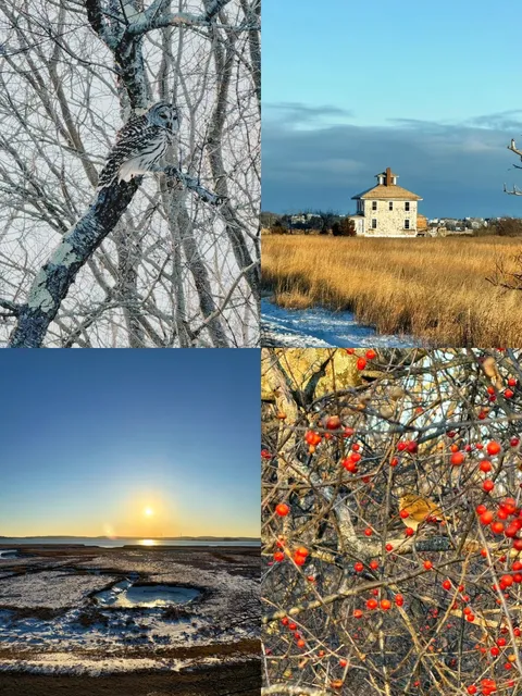 Boston One-Hour Drive 🚗 Day Trip for Sunset Viewing and Bird Watching