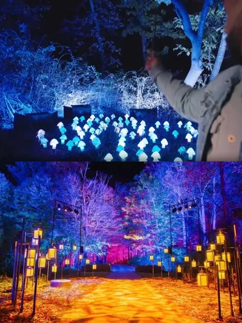 🇺🇸 New Harry Potter Experience in Chicago?