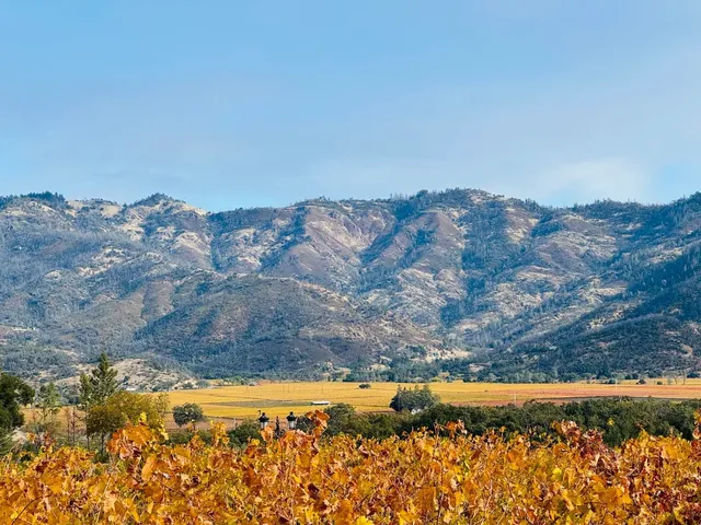 Napa Valley｜You Have to Visit Napa in the Fall 