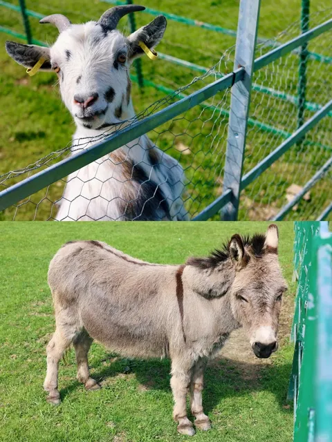 Edinburgh Park | Sunny Day at the Teletubbies' Home! ☀️
