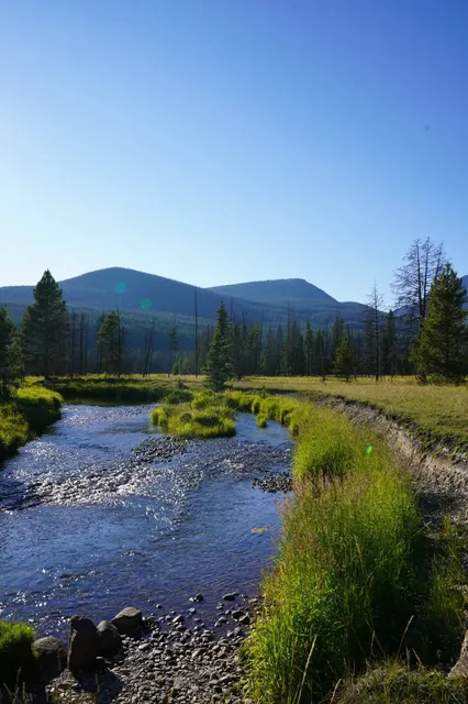 Rocky Mountain National Park Ultimate Guide
