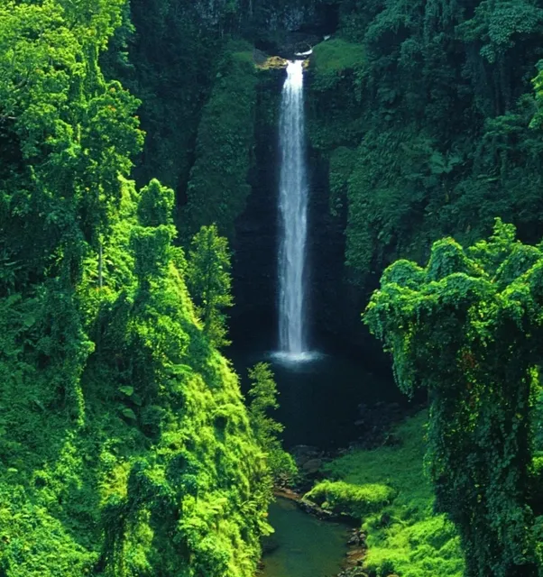 🇼🇸 Apia & Upolu Island: Exploring the Heart of Samoa 🌴✨