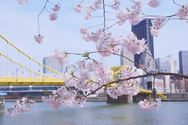 Recommended for Summer Sunsets: Andy Warhol Bridge