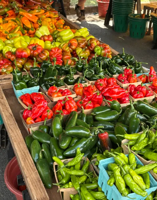 Saturday Morning Markets in Charlottesville, VA 🌽🍅