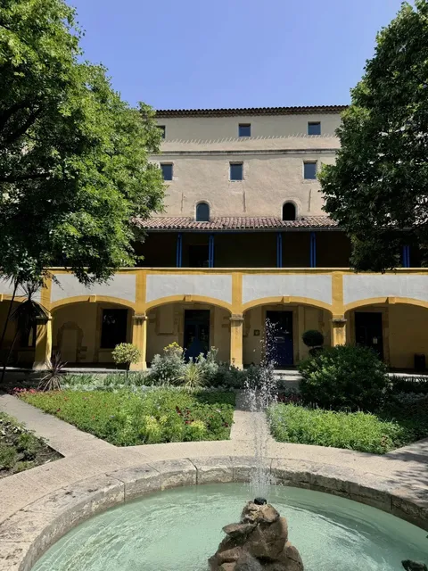 Day 6 in Arles: So THIS Was Van Gogh's Color Palette! 🌈✨