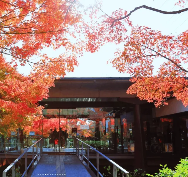 A Guide to Visiting the Uji Genji Museum (1) 🌿