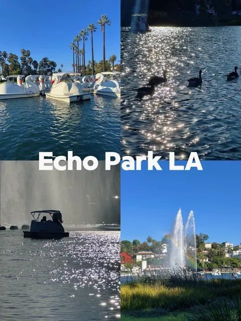 Los Angeles   |   Echo Park 🦢✨  