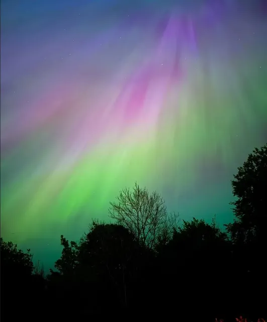 watch the Wonderful Northern Lights