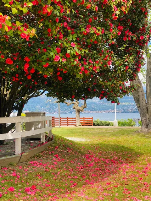 Milan Surroundings Botanical Garden - Stresa's Isola Madre 🌳