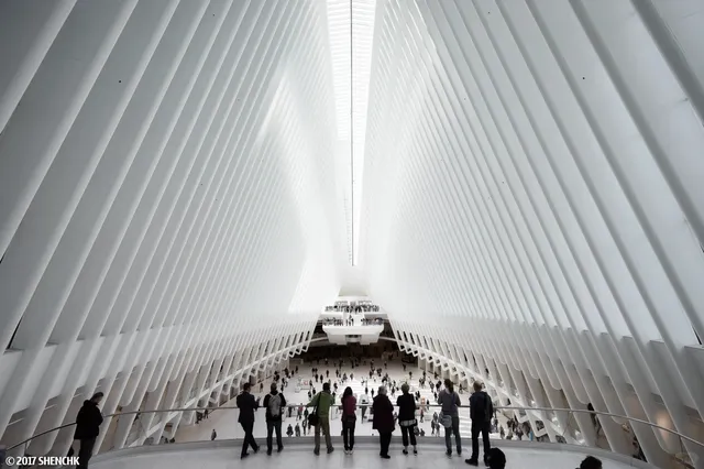 Seeing the Oculus from Different Perspectives(1)