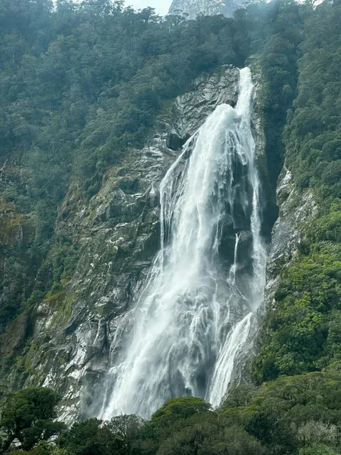 Ultra-Realistic! 🇳🇿 Christchurch Day Tour Recap  