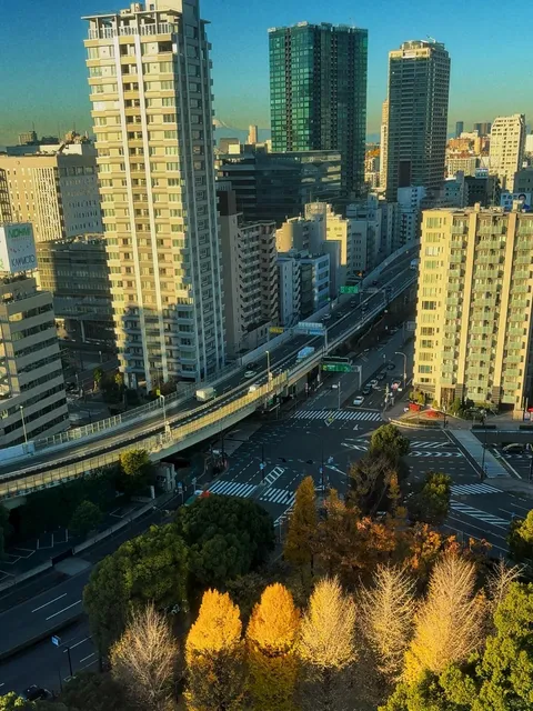 The Ultimate Hotel for Views of Tokyo Tower 🗼 and Mount Fuji (1)