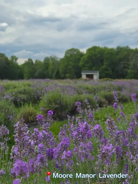 A Leisurely 4-Day Journal of Acadia, Maine