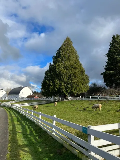 “Seattle” A Real-Life Fairy Tale World