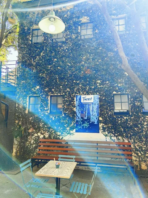 🇿🇦 44 Stanley: Johannesburg's Secret European Escape! ☕🎨✨