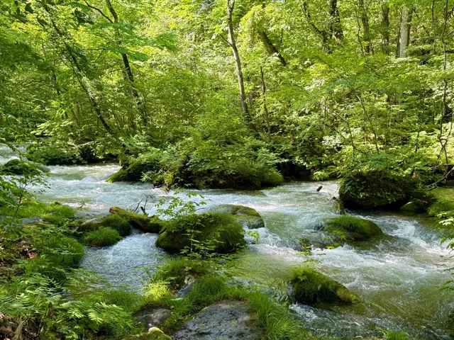 Blown Away by the Oirase River (1)🌊